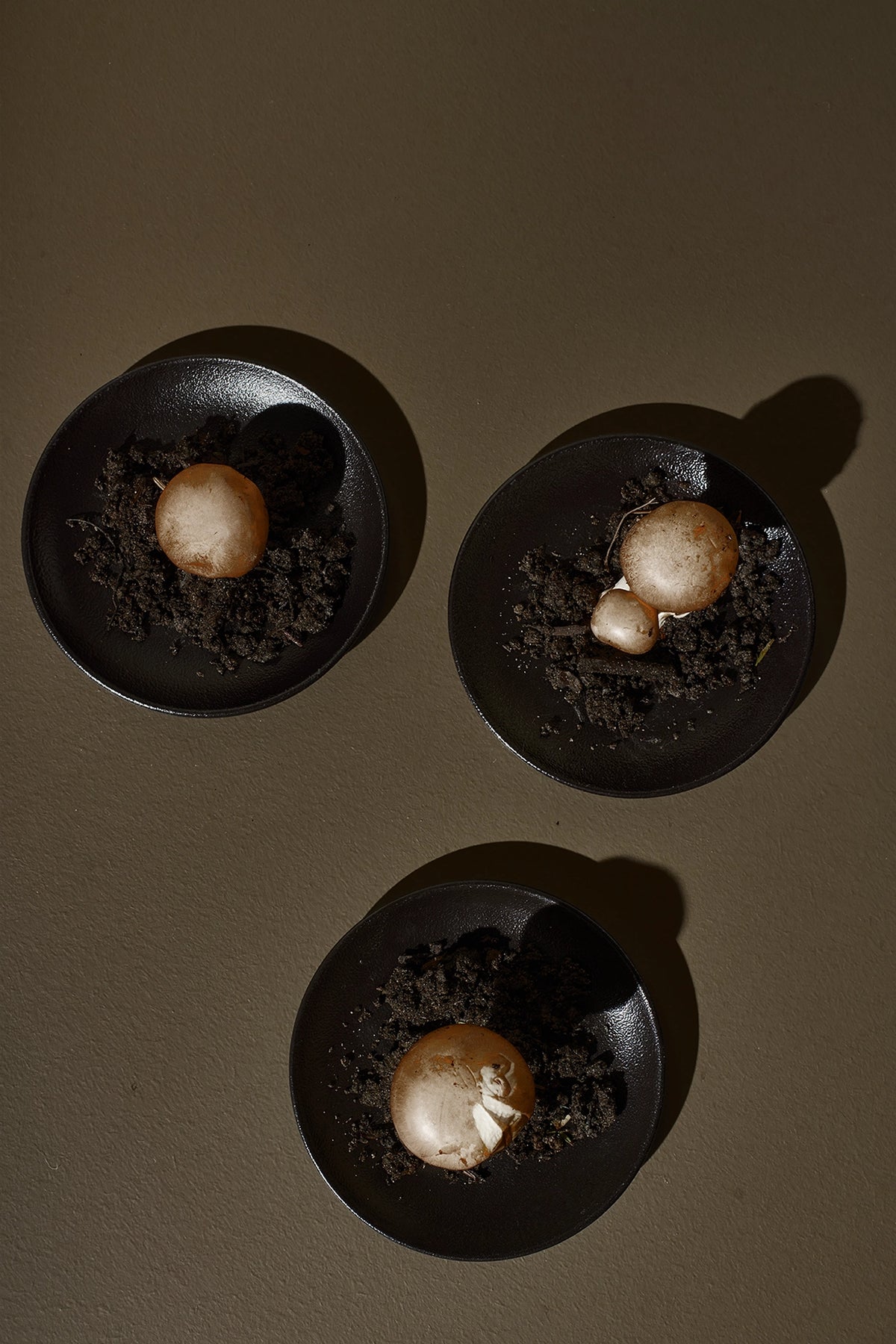 Peintagone Brown & Earth paint family – colour schemes with soft whites and greens